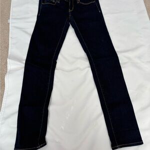 American Eagle Outfitters Navy Skinny Jeans